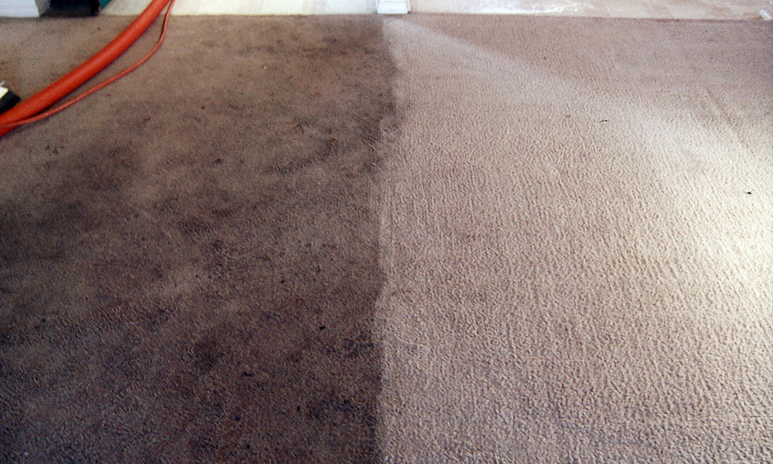 Carpet Cleaning Before & After